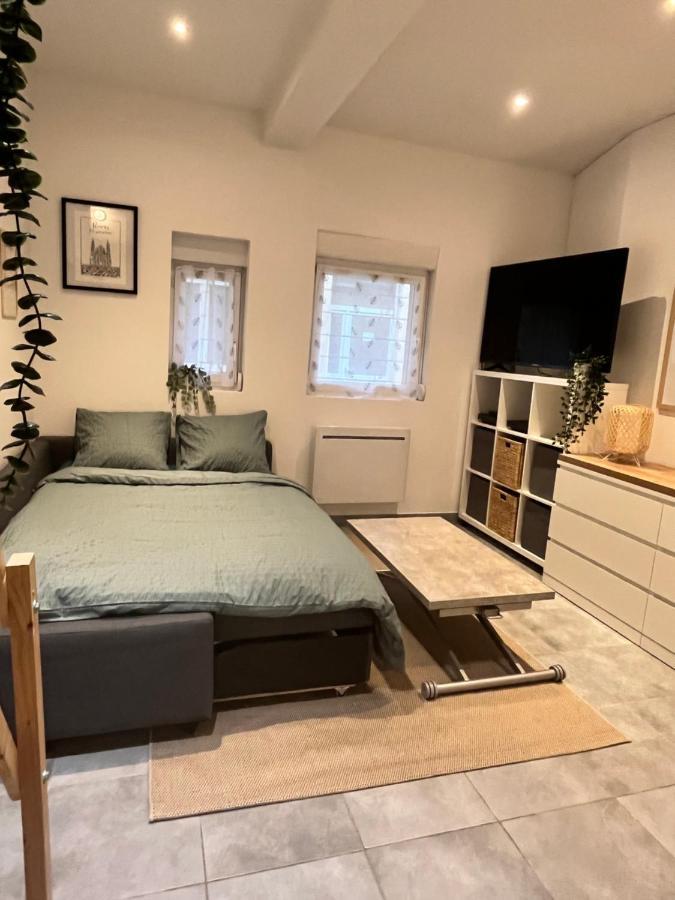 Apartment Le Remois Cosy Hyper Centre *
